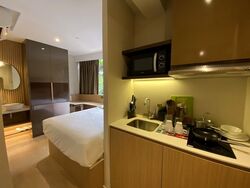 Mount Elizabeth Link (D9), Condominium #497013761